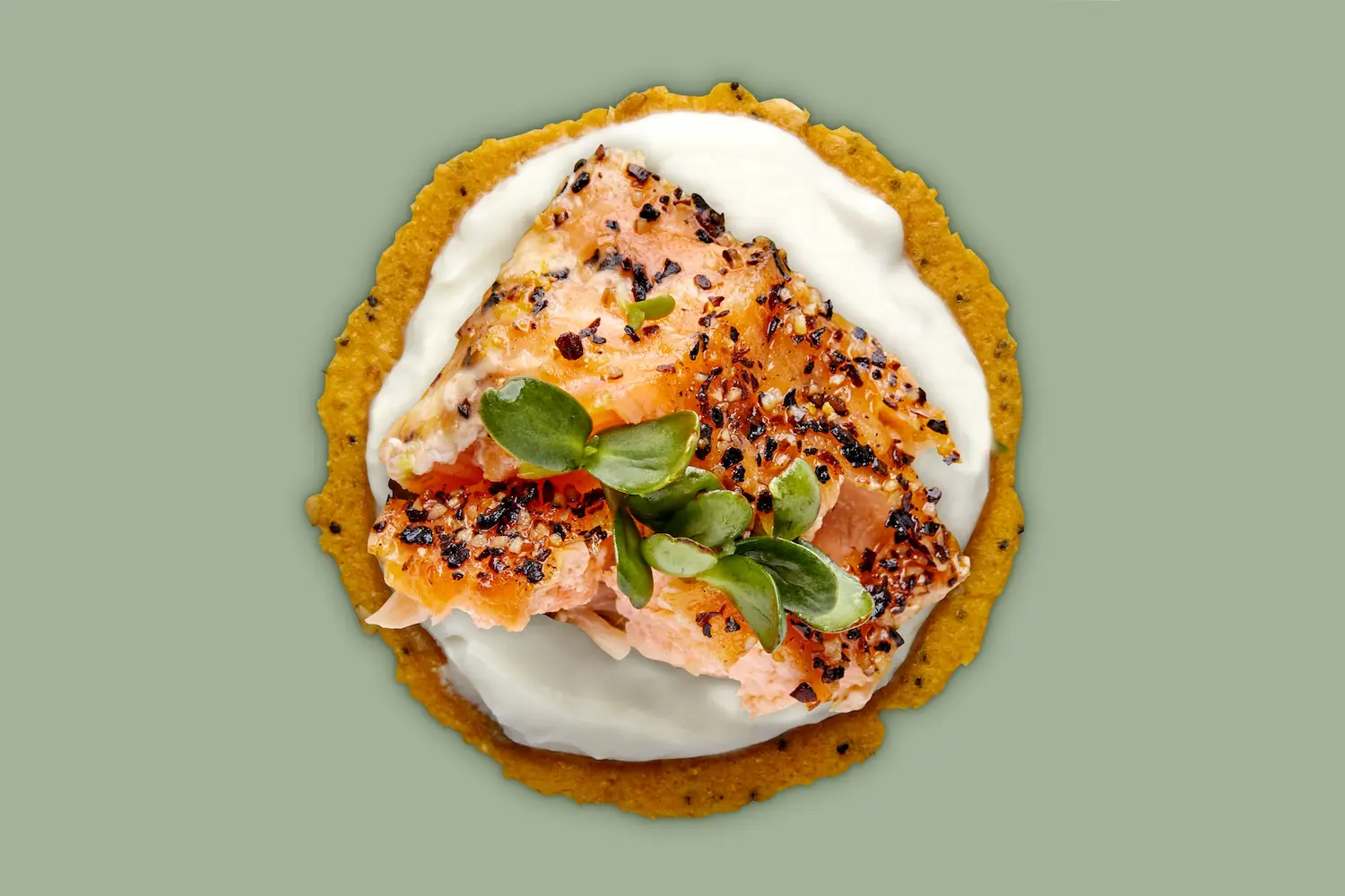 Round cracker topped with white spread and seasoned salmon on a grey background.